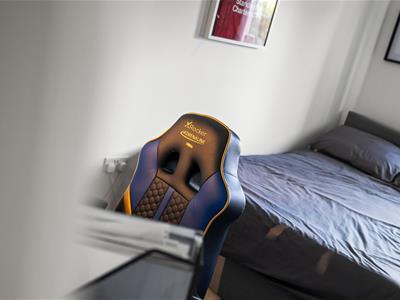 Picture 31
